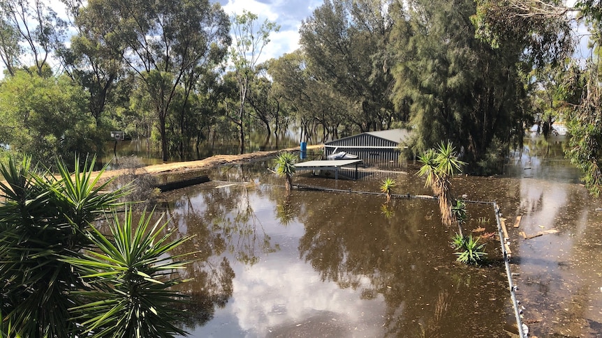 The Kingston on Murray Caravan Park pool was part of the trail of destruction left by the 2022 floods in South Australia's Riverland.