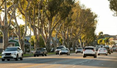 'I've never seen anything like this before'