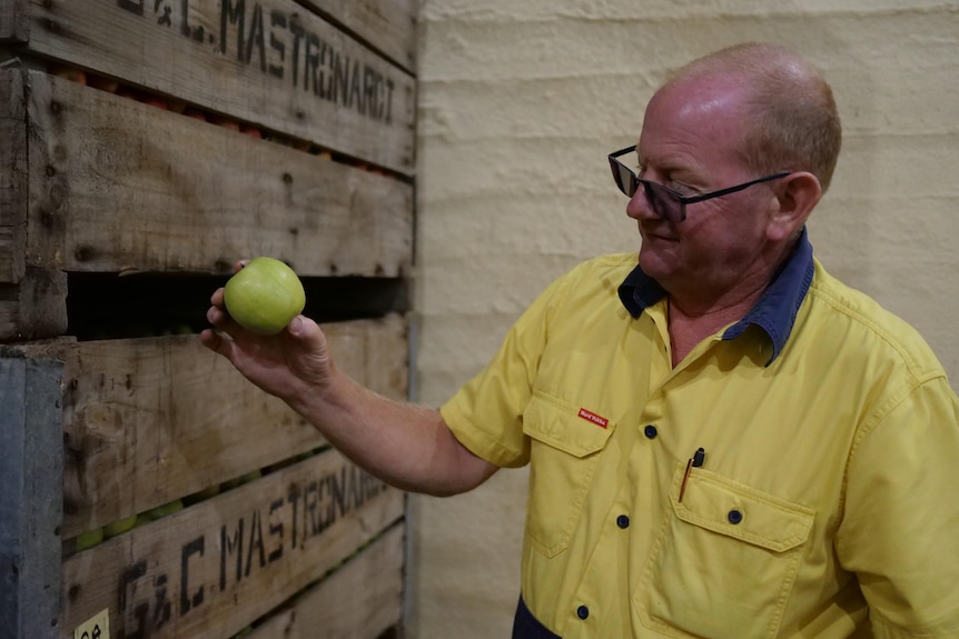 Man holds an apple and looks at it, in front of wooden boxes.