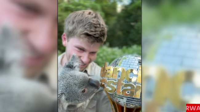 Robert Irwin brings Dancing with the Stars trophy home to Australia Zoo
