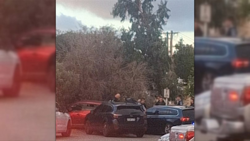 Chaos ensued as police chased the alleged car thief.