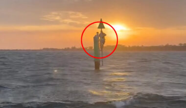 Utter disbelief as fishermen find 'pale' man clinging to pole kilometres from shore: 'Struggling to hold on'