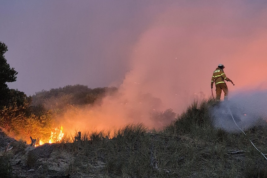 Firefighter in the field at Dolphin Sands, December 2025.