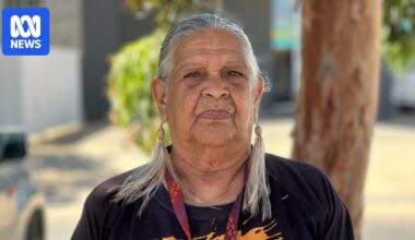 Elder and MDAS ex-board member calls for government to take control of embattled Aboriginal organisation
