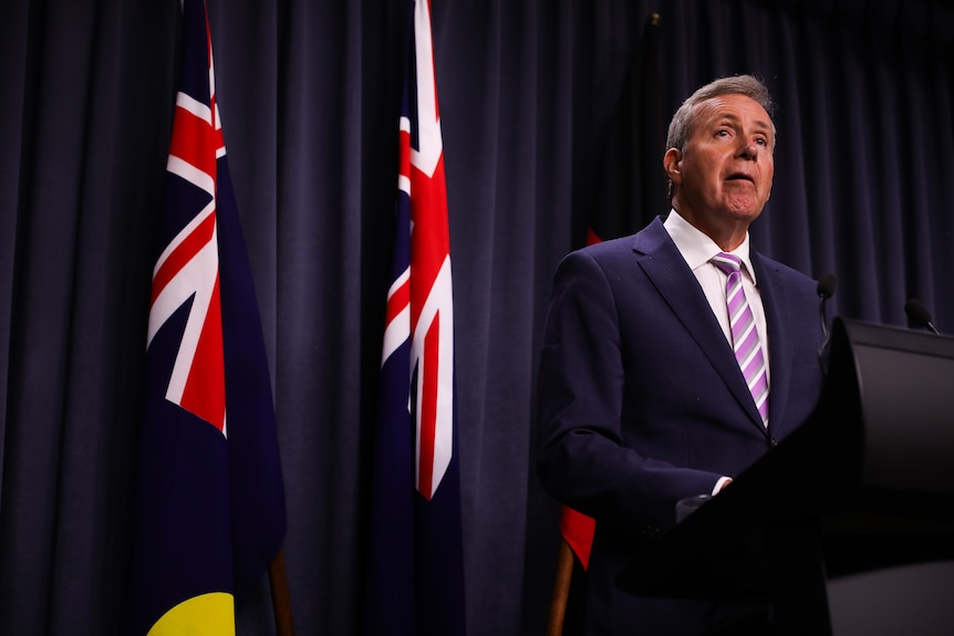 Reece Whitby stands talking in front of Australian flags.