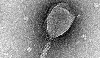 AI can now design viruses, raising new biosecurity risks