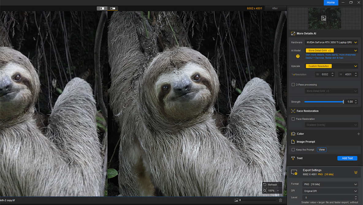 This Image Enhancer Beats the Competition