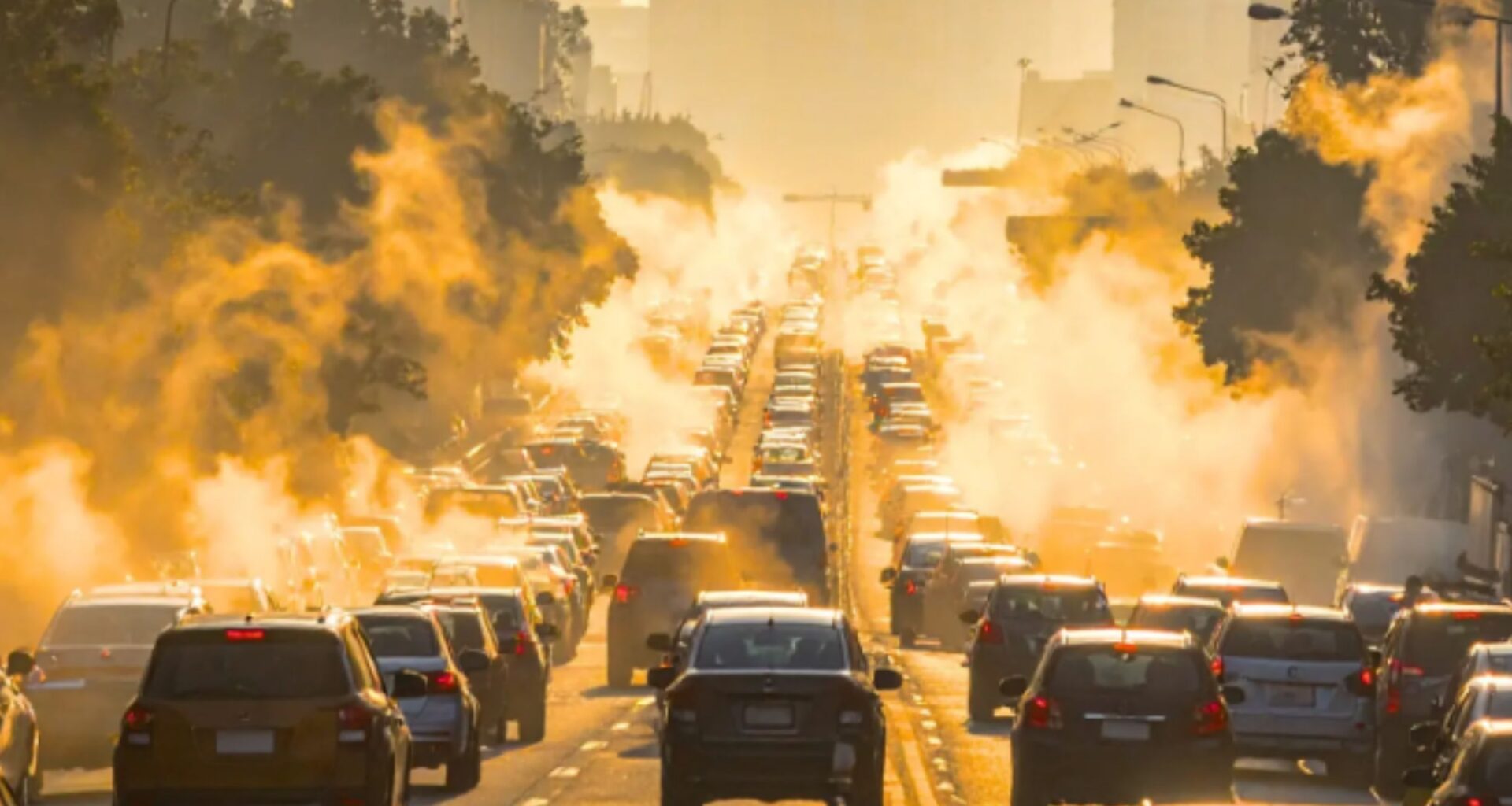 A,Gloved,Hand,Works,With,Rich,,Dark,Soil,In,A