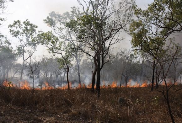 Bushfire-ravaged communities take future into own hands