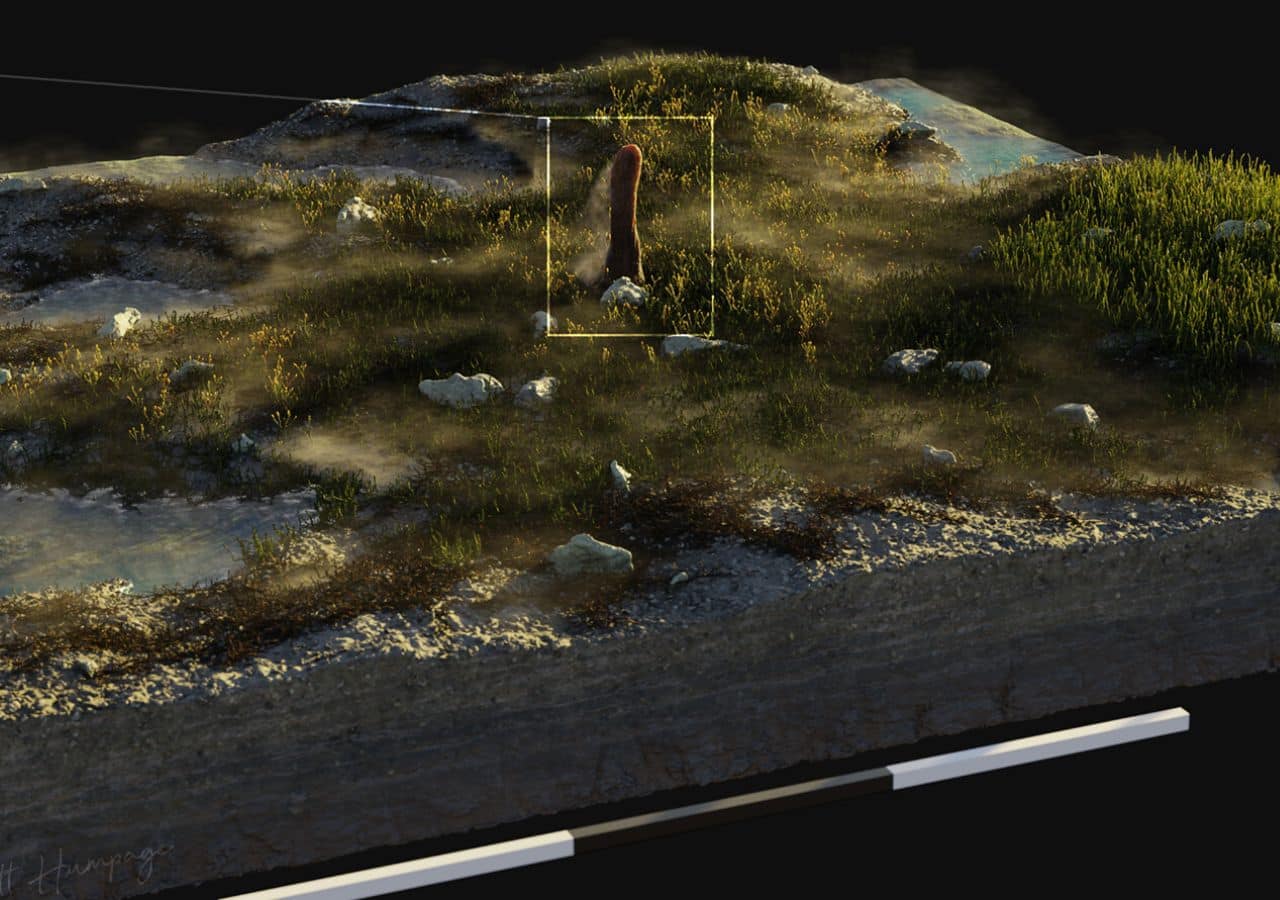 Artist reconstruction of P. taiti within the Rhynie ecosystem