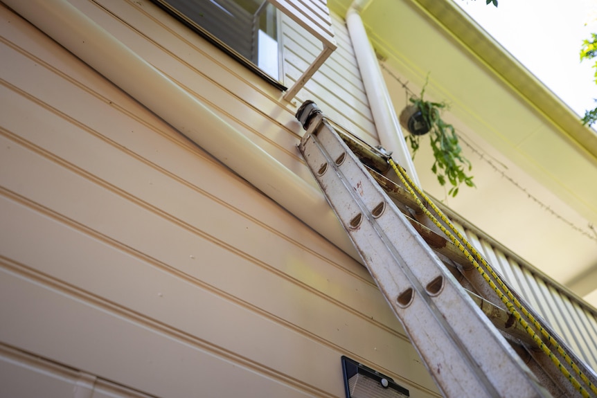 A photo of a ladder leaning against a house
