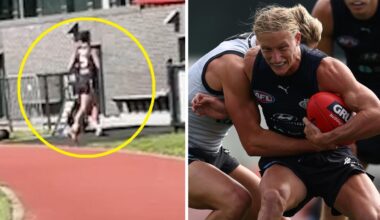 Nick Daicos leg injury scare at training, Darcy Moore, Collingwood Magpies, Billy Wilson, Carlton Blues, preseason track watch