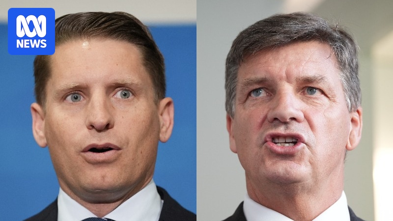 Liberals wait on Hastie-Taylor decision before challenging Sussan Ley's leadership