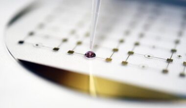 Blood test could bolster brain cancer survival rates