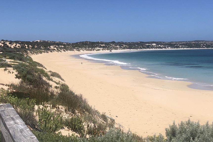 A wide sandy beach with a person walking on it under a blue sky.