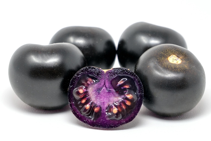 Five dark purple tomatoes. Four are whole, the front one has been cut in half displaying bright purple flesh and seeds
