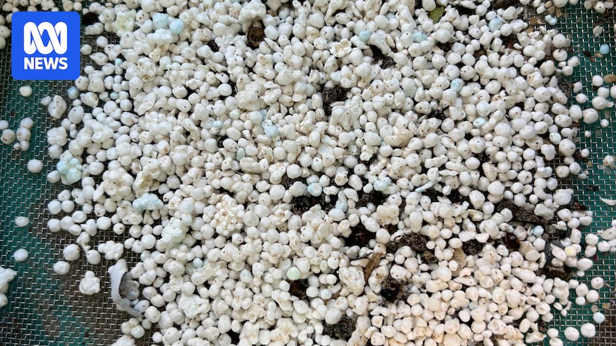 Microplastics triple in Sydney's waterways in three years, report finds