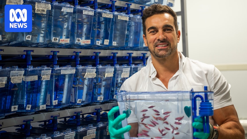 How a tank of zebrafish helped two children born with a rare genetic variant