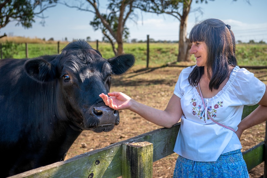 A dark-haired woman gives a dark-coloured cow a pat on the snout while it stands in a pen on a farm.