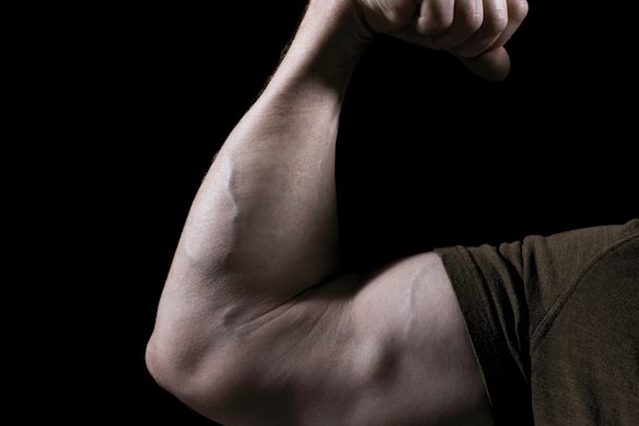 Muscles are more than just dumb doers.