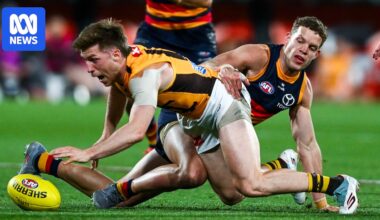 Hawthorn's Will Day to miss first half of the AFL season with shoulder injury