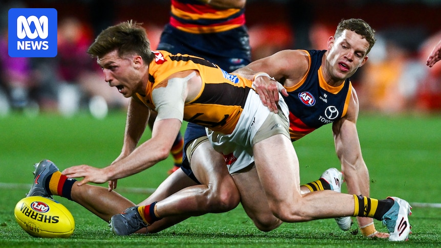 Hawthorn's Will Day to miss first half of the AFL season with shoulder injury