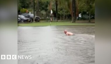 Man swims in flooded Sydney golf course after heavy rain