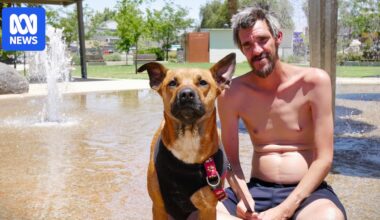 Locals, summer tourists swelter through heatwave in South Australia's Riverland