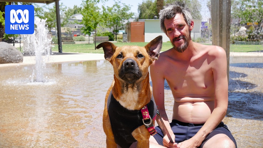 Locals, summer tourists swelter through heatwave in South Australia's Riverland