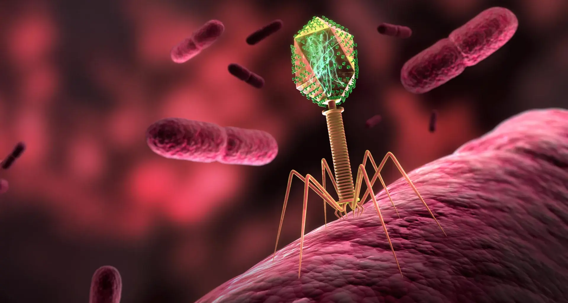 Scientists sent viruses to space and they evolved in surprising ways