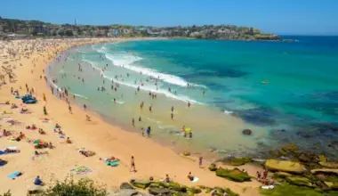 Why Have Shark Attacks Reoccurred on Australias Beaches?