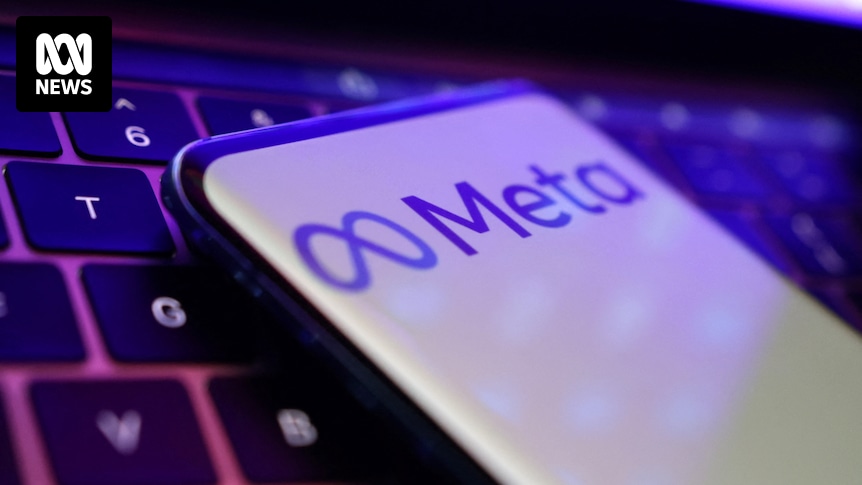 Meta removes 550,000 accounts from social media platforms to comply with under-16s ban