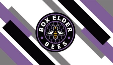 Prep basketball roundup: Box Elder boys top Roy; Fremont, Morgan get wins | News, Sports, Jobs