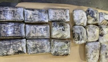 18kg of meth, cocaine seized at Port of Tauranga