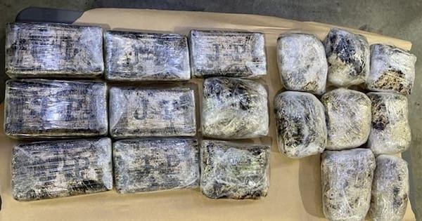 18kg of meth, cocaine seized at Port of Tauranga