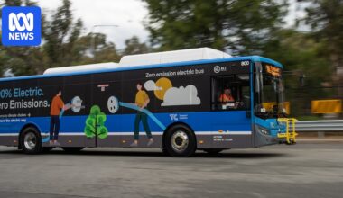 Transport Canberra launches investigation into cybersecurity risks in Chinese-built electric buses
