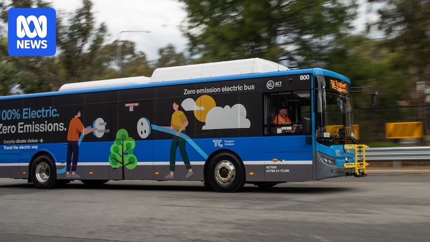 Transport Canberra launches investigation into cybersecurity risks in Chinese-built electric buses