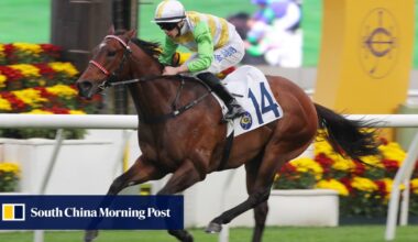 Rising Force lands massive betting plunge as Smart Golf lights up the turf at Sha Tin | HK Racing