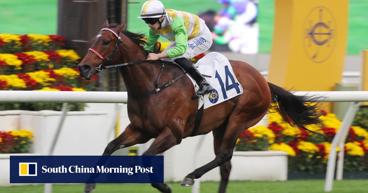 Rising Force lands massive betting plunge as Smart Golf lights up the turf at Sha Tin | HK Racing