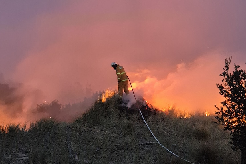 Firefighter in a field with burning undergrowth.