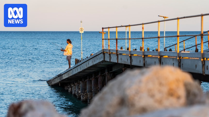 Fishers and authorities in WA's Gascoyne fear overfishing after demersal ban