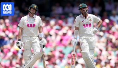 How the internet reacted to the fifth Ashes Test at the SCG