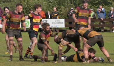 Download app from the App Store