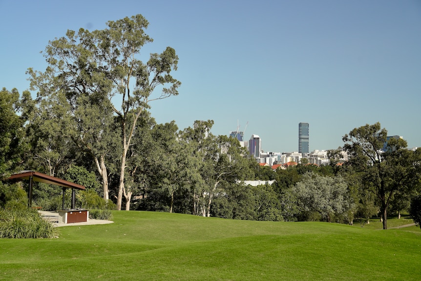 A greenspace. Tall city buildings are visible beyond the park's trees, in the distance.