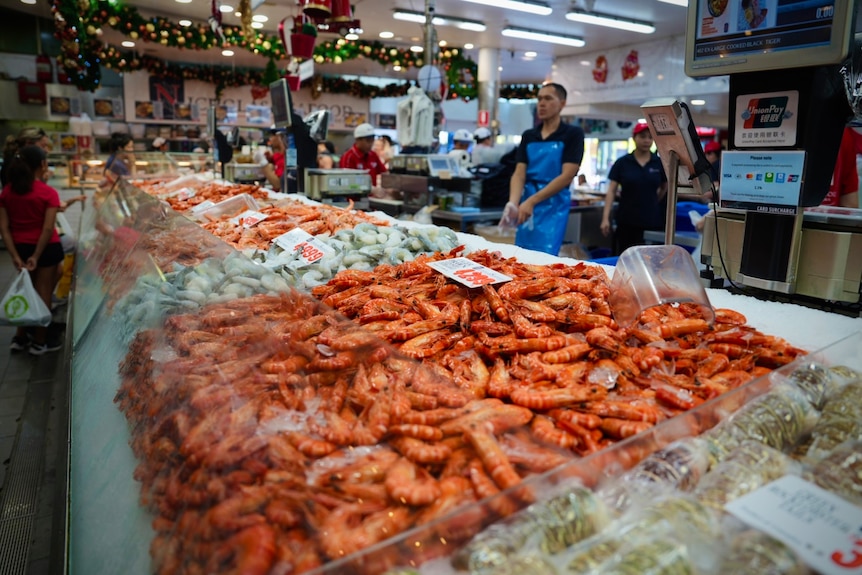 Prawns at a seafood market
