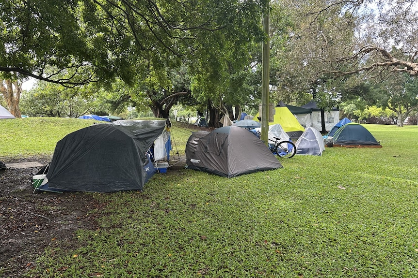 tents in a park