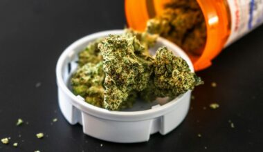 Scientists Figured Out a Standard Measure For Cannabis Use : ScienceAlert