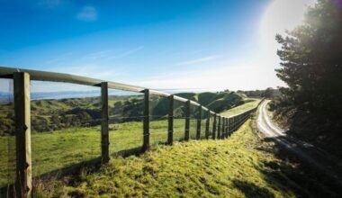 Cape Kidnappers Celebrates 20 Years of Conservation and Golf