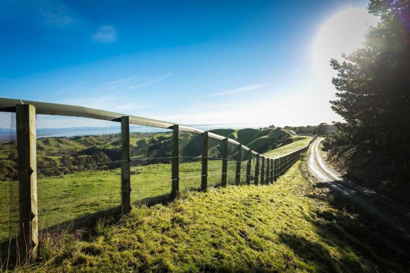 Cape Kidnappers Celebrates 20 Years of Conservation and Golf