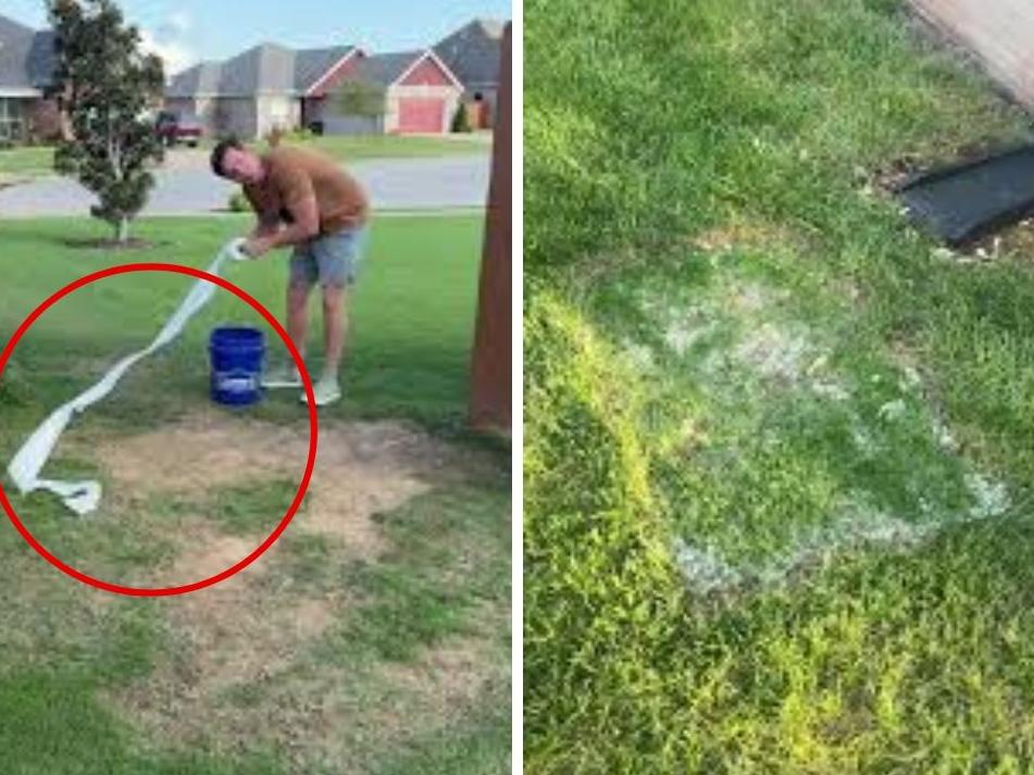 Lawn expert warns popular toilet paper hack could ruin your grass